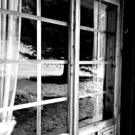 Monolocale Walser * Formazza