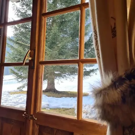 Apartment Monolocale Walser